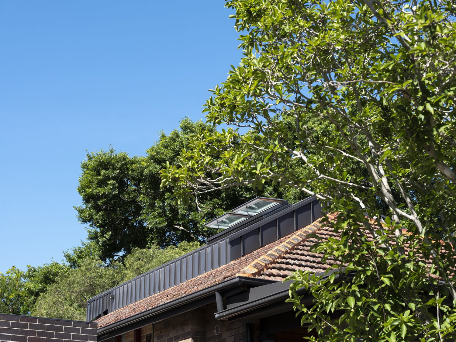 BIJL Stealth House 0416